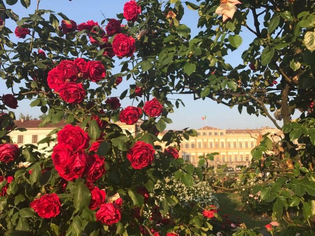 17 MAGGIO 2017